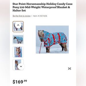 48-50 mini horse blanket Candy Cane Pony Blanket - Blue